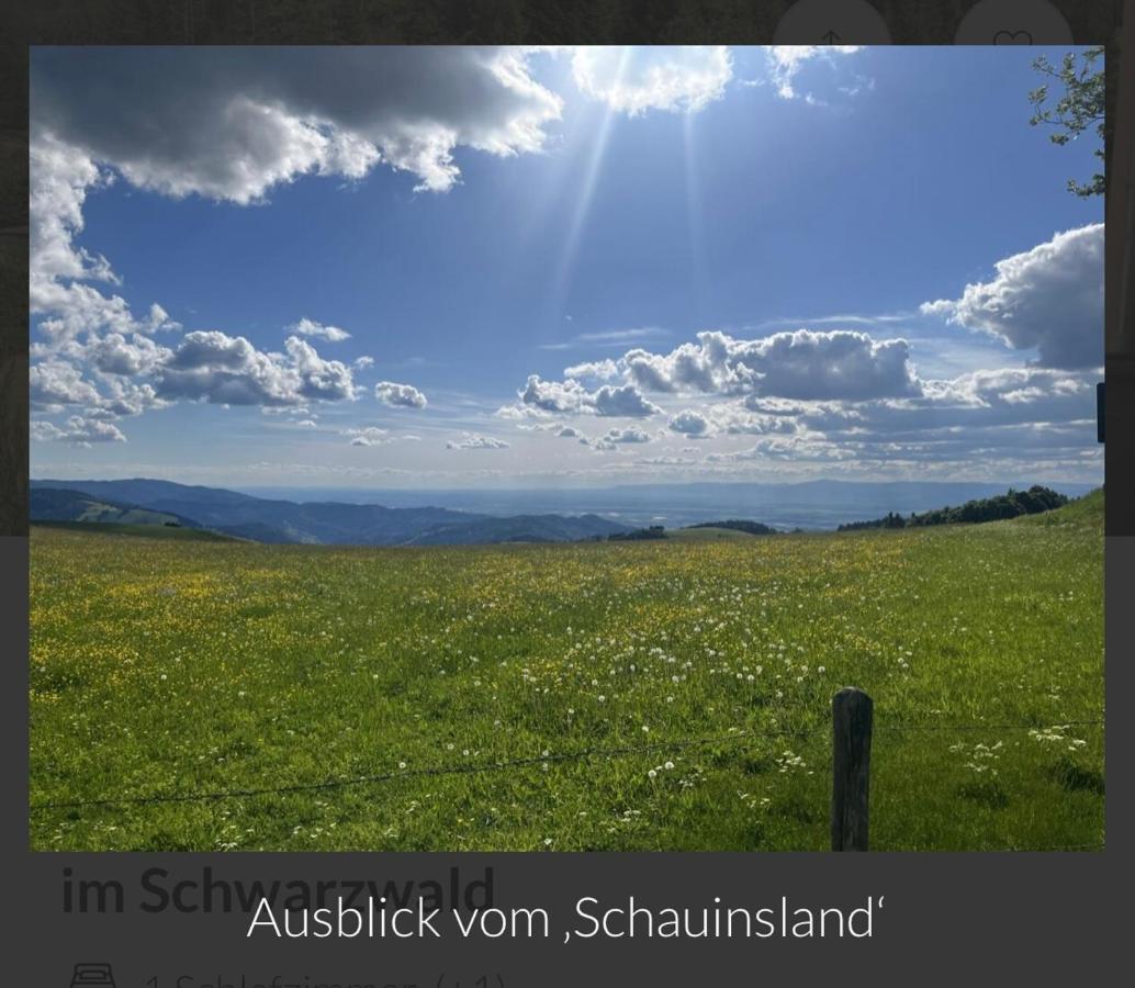 Toscana-Residenz Im Schwarzwald Utzenfeld Exterior foto